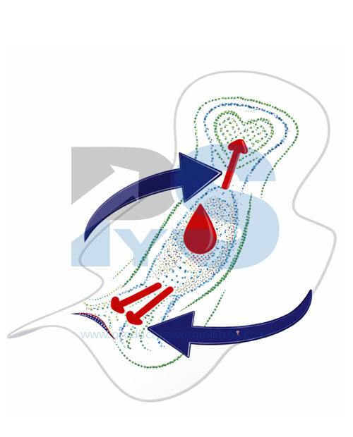 Toallas Higiénicas x 10 uds