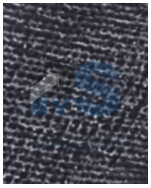 Guante Tejido de Poliéster Talla 7 Delta Plus VE702PN x 12 Pares