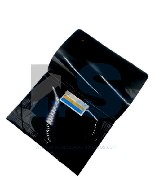 Carpeta Seguridad Oficio PLANA IPP