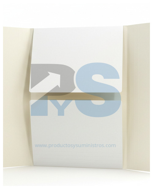 Carpeta 4 Aletas Blanca Esmaltada 290 gr