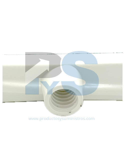 Escoba Italiana Verde Cerda Dura SIN MANGO